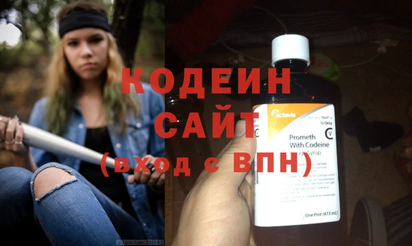 apvp Инсар