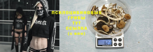 метадон Инта