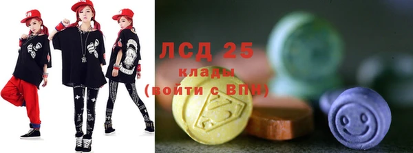apvp Инсар