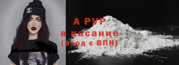 apvp Инсар