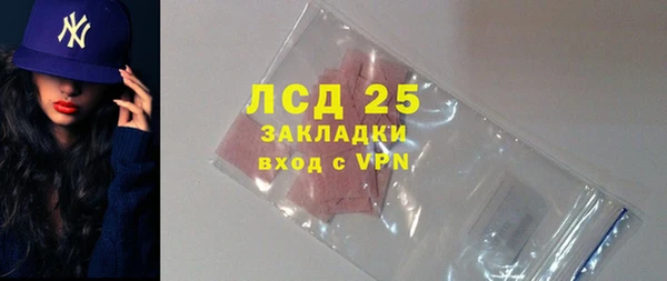 apvp Инсар