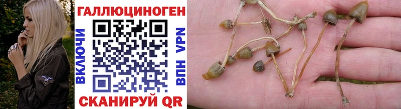 Псилоцибиновые грибы MAGIC MUSHROOMS  Купить  Советск 